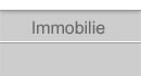 immobilie